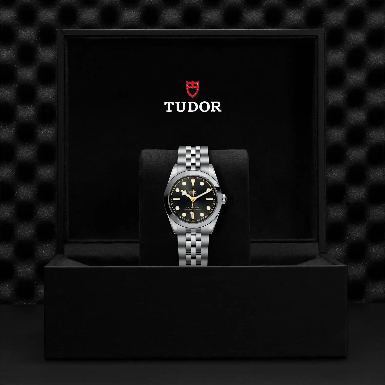 Tudor M79600-0001
